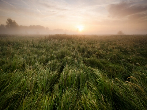 Vroege stiltewandeling door de Broekpolder